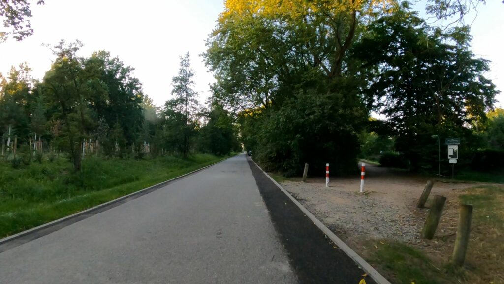 Foto eines breiten, geteerten Radwegs der durch ein lichtes Waldgebiet führt. Rechts zweigt ein Fußweg ab.