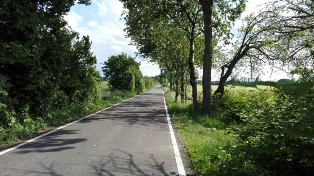 Foto eines breiten, geteerten Radwegs der durch Felder und Wälder führt. Links und rechts ist der Weg von Bäumen gesäumt.